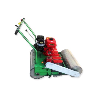 Gasoline Engine Hand-push Seed/garlic/corn small seed planter